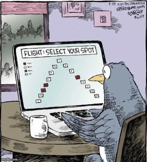 Flight position | image tagged in repost,flight position | made w/ Imgflip meme maker