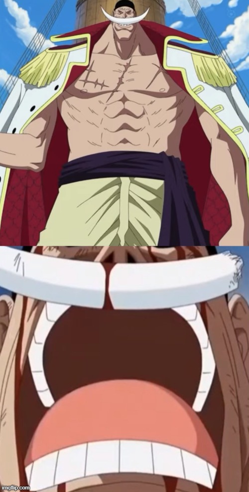 image tagged in the one piece is real,whitebeard the one piece is real | made w/ Imgflip meme maker
