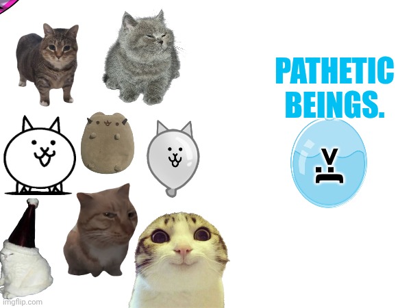 "This is the title, man. There are cats. I like cats. Ok, I've said too much. | PATHETIC BEINGS. >:( | image tagged in cats,cat,funny cats | made w/ Imgflip meme maker