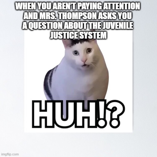 Huh Cat | WHEN YOU AREN’T PAYING ATTENTION 
AND MRS. THOMPSON ASKS YOU 
A QUESTION ABOUT THE JUVENILE 
JUSTICE SYSTEM | image tagged in teachers | made w/ Imgflip meme maker