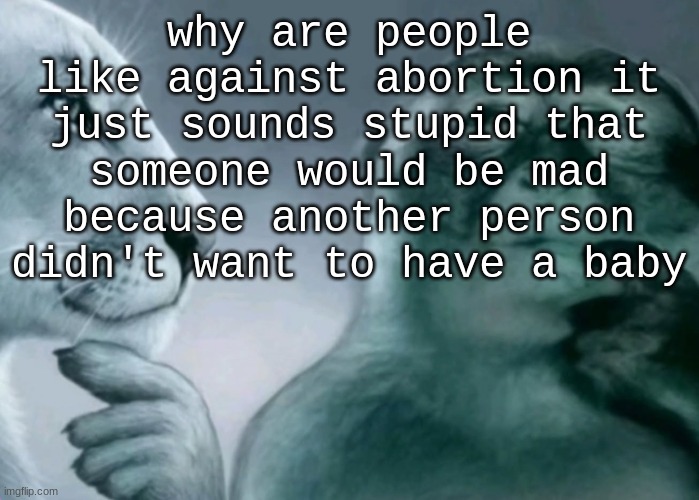 Is this ragebait? | why are people like against abortion it just sounds stupid that someone would be mad because another person didn't want to have a baby | image tagged in is this ragebait | made w/ Imgflip meme maker