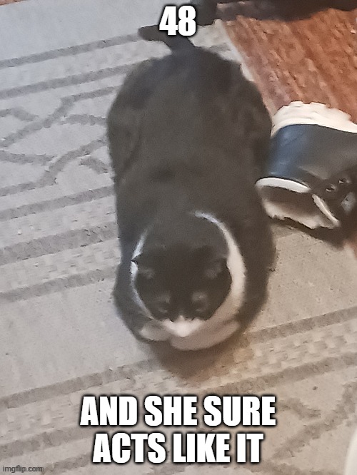48 AND SHE SURE ACTS LIKE IT | made w/ Imgflip meme maker