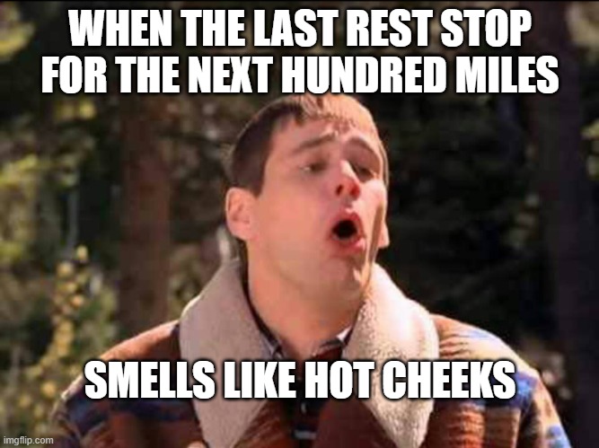 The bears might be onto something... | WHEN THE LAST REST STOP FOR THE NEXT HUNDRED MILES; SMELLS LIKE HOT CHEEKS | image tagged in sick | made w/ Imgflip meme maker