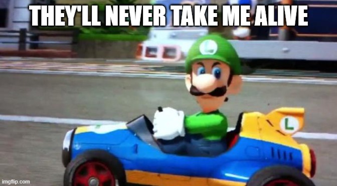 Luigi Death Stare | THEY'LL NEVER TAKE ME ALIVE | image tagged in luigi death stare | made w/ Imgflip meme maker