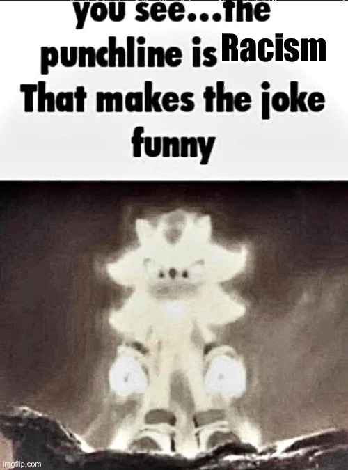 Shadow explains the joke | Racism | image tagged in shadow explains the joke | made w/ Imgflip meme maker