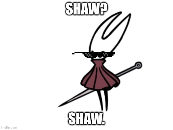 Me when shaw | SHAW? SHAW. | image tagged in hollow knight | made w/ Imgflip meme maker