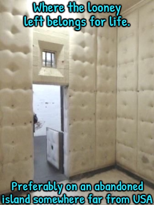 A Rubber Room | Where the looney left belongs for life. Preferably on an abandoned island somewhere far from USA | image tagged in lunatic,libtards,asylum,liberalism,malignant narcissism,go away | made w/ Imgflip meme maker