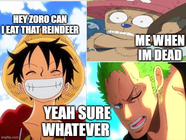 MEboutTOdie | HEY ZORO CAN I EAT THAT REINDEER; ME WHEN IM DEAD; YEAH SURE WHATEVER | image tagged in anime | made w/ Imgflip meme maker