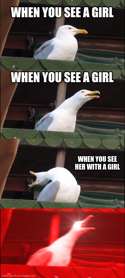 Inhaling Seagull Meme | WHEN YOU SEE A GIRL; WHEN YOU SEE A GIRL; WHEN YOU SEE HER WITH A GIRL | image tagged in memes,inhaling seagull | made w/ Imgflip meme maker
