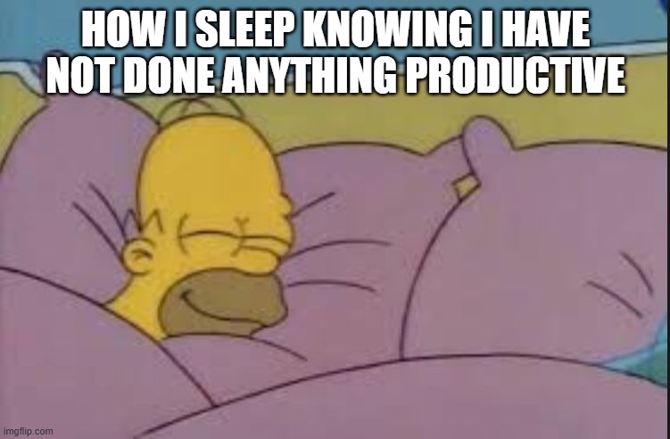 Title or smth idk | HOW I SLEEP KNOWING I HAVE NOT DONE ANYTHING PRODUCTIVE | image tagged in how i sleep homer simpson | made w/ Imgflip meme maker