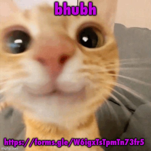 kitty | bhubh; https://forms.gle/W6igxTsTpmTn73fr5 | image tagged in kitty | made w/ Imgflip meme maker