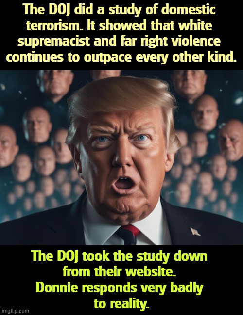 The DOJ did a study of domestic 
terrorism. It showed that white 

supremacist and far right violence 

continues to outpace every other kind. The DOJ took the study down 
from their website. 
Donnie responds very badly 
to reality. | image tagged in trump,violence,far right,white supremacists,doj,reality | made w/ Imgflip meme maker