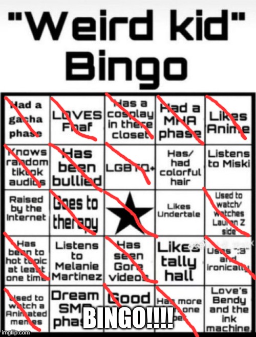 Weird Kid Bingo | BINGO!!!! | image tagged in weird kid bingo | made w/ Imgflip meme maker