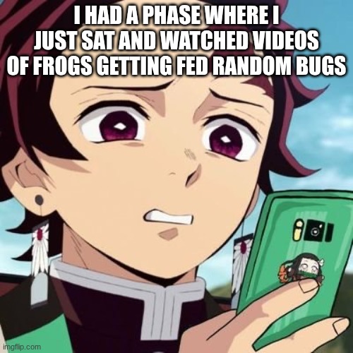 disgusted tanjiro | I HAD A PHASE WHERE I JUST SAT AND WATCHED VIDEOS OF FROGS GETTING FED RANDOM BUGS | image tagged in disgusted tanjiro | made w/ Imgflip meme maker