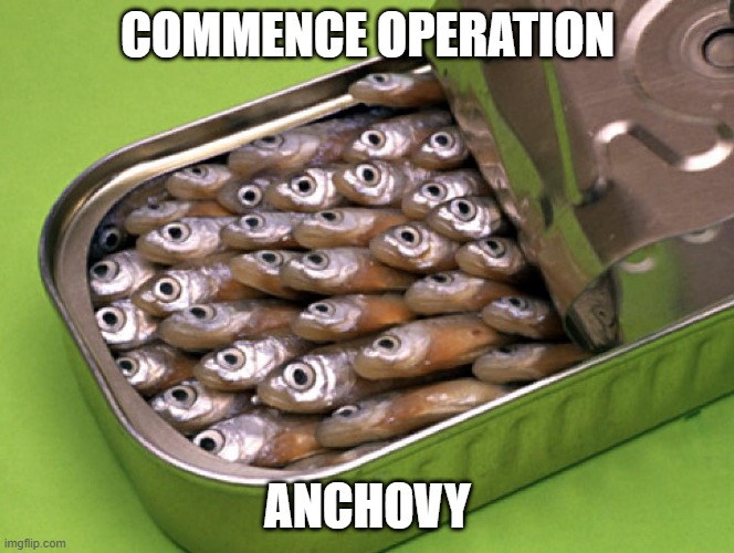 can of anchovies | COMMENCE OPERATION; ANCHOVY | image tagged in sardines,hide and seek | made w/ Imgflip meme maker