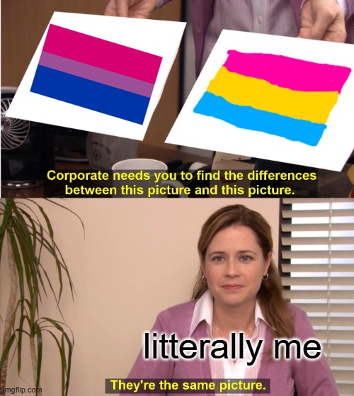 This is not supposed to offend anyone | litterally me | image tagged in memes,they're the same picture,lgbtq | made w/ Imgflip meme maker