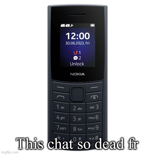nokia 110 4g | This chat so dead fr | image tagged in nokia 110 4g | made w/ Imgflip meme maker