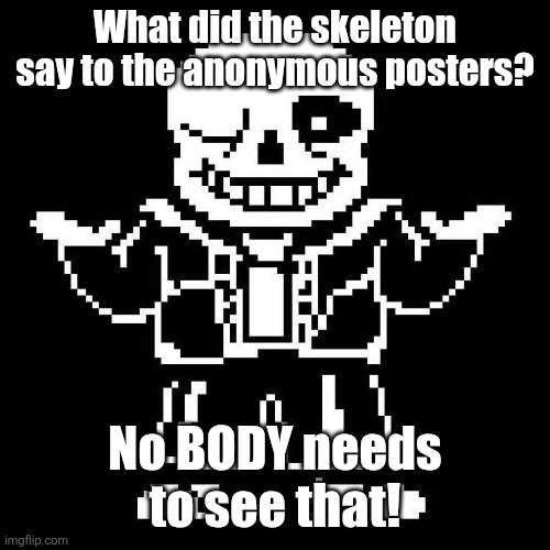 sans undertale | What did the skeleton say to the anonymous posters? No BODY needs to see that! | image tagged in sans undertale | made w/ Imgflip meme maker