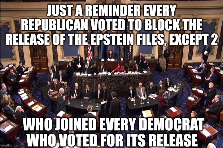Which party has something to hide? | JUST A REMINDER EVERY REPUBLICAN VOTED TO BLOCK THE RELEASE OF THE EPSTEIN FILES, EXCEPT 2; WHO JOINED EVERY DEMOCRAT WHO VOTED FOR ITS RELEASE | image tagged in senate floor,trump,maga,pedophile,republicans | made w/ Imgflip meme maker