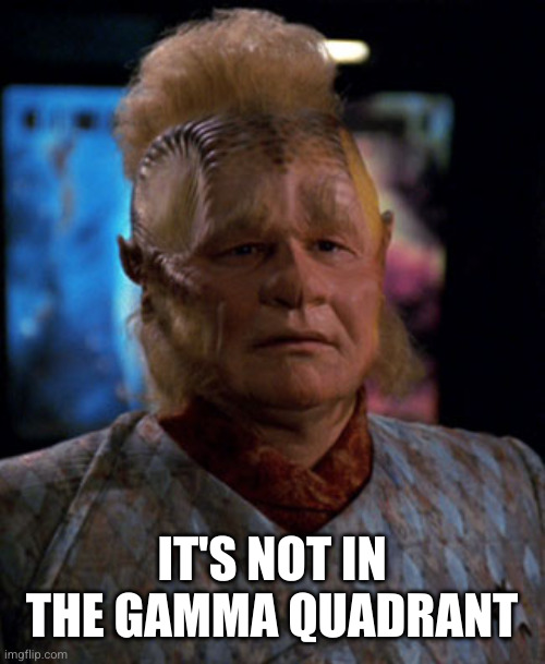 neelix | IT'S NOT IN THE GAMMA QUADRANT | image tagged in neelix | made w/ Imgflip meme maker