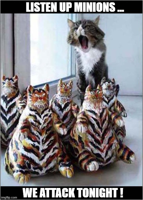 He Thinks They Are His Army Of Evil ! | LISTEN UP MINIONS ... WE ATTACK TONIGHT ! | image tagged in cats,minions,army | made w/ Imgflip meme maker