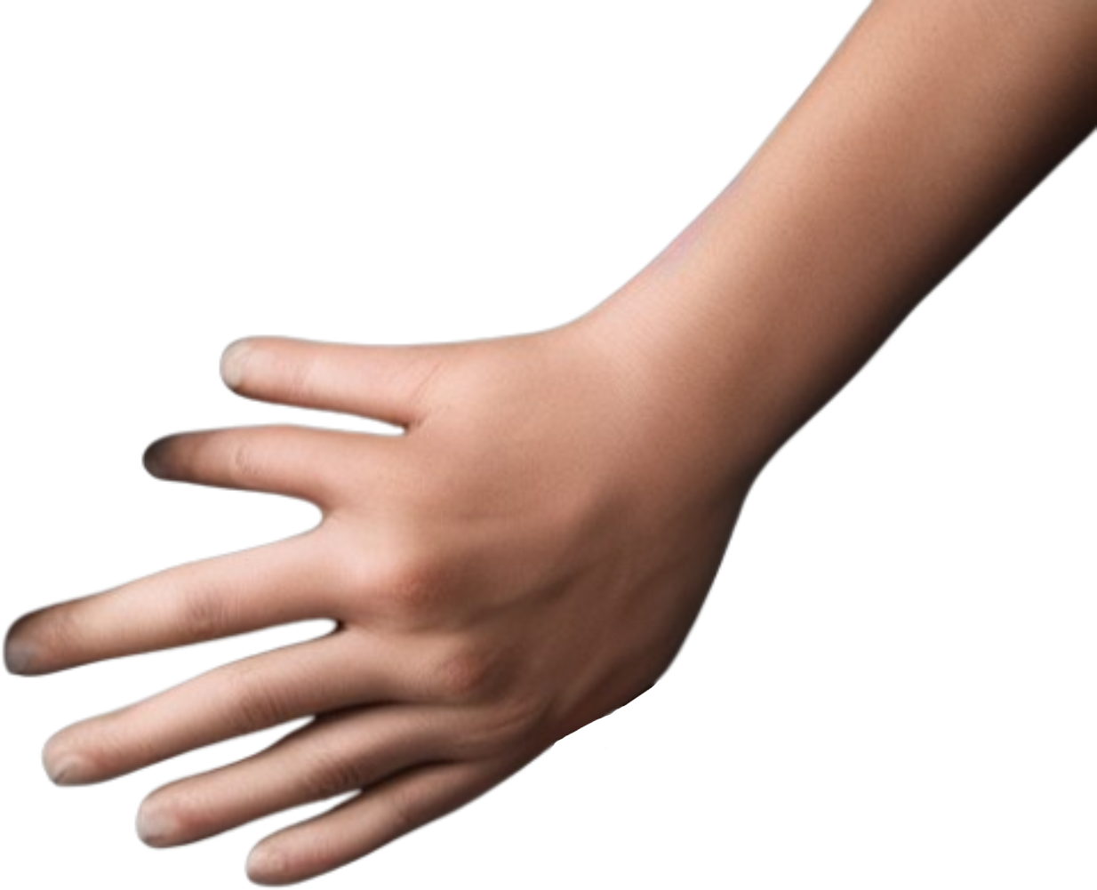 AI Generated Hand Blank Meme Template