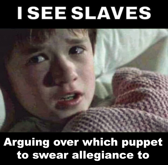 I see slaves arguing over which puppet to swear allegiance to Blank Meme Template