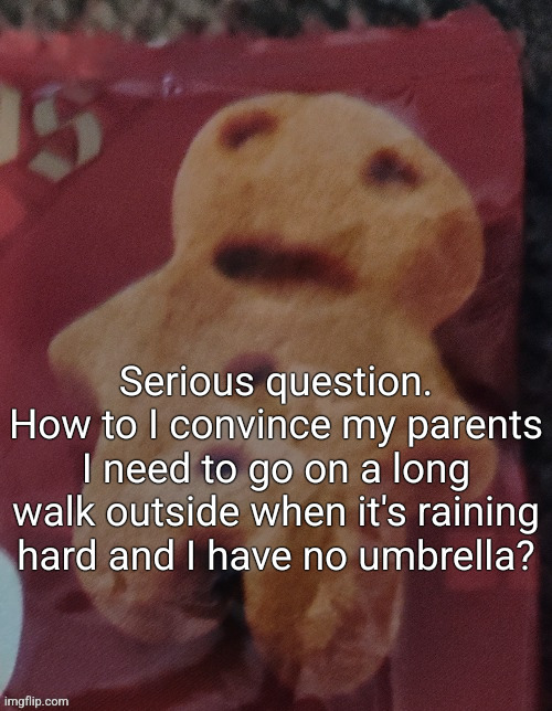 Cookie | Serious question. How to I convince my parents I need to go on a long walk outside when it's raining hard and I have no umbrella? | image tagged in cookie | made w/ Imgflip meme maker