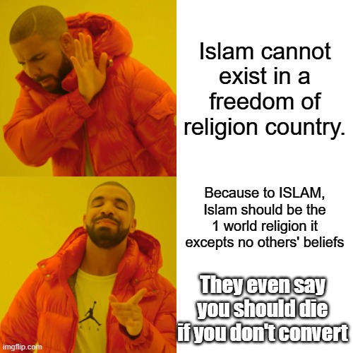 Dem party says it's OK to kill political rivals now. | Islam cannot exist in a freedom of religion country. Because to ISLAM, Islam should be the 1 world religion it excepts no others' beliefs; They even say you should die if you don't convert | image tagged in memes,drake hotline bling | made w/ Imgflip meme maker