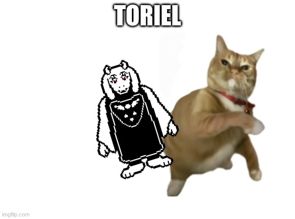 throwing cat new | TORIEL | image tagged in throwing cat new | made w/ Imgflip meme maker