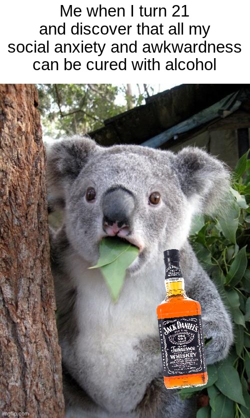 Happy Juice | Me when I turn 21 and discover that all my social anxiety and awkwardness can be cured with alcohol | image tagged in surprised koala,jack daniels | made w/ Imgflip meme maker