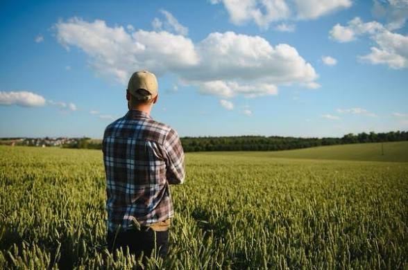 Farmers not ok Blank Meme Template