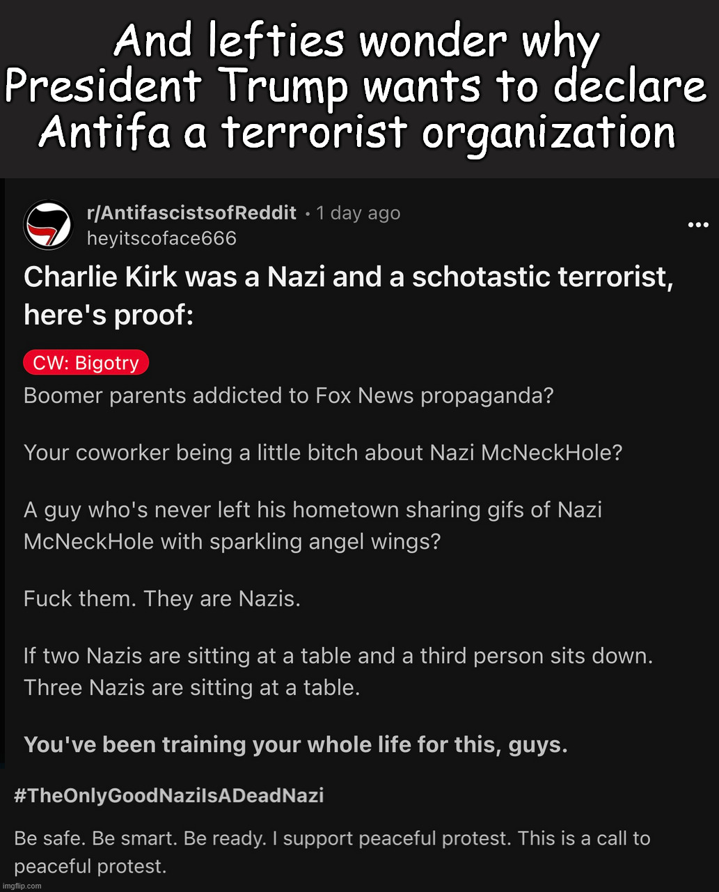And lefties wonder why President Trump wants to declare Antifa a terrorist organization | made w/ Imgflip meme maker