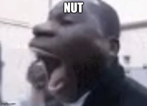 AAAAAAAAAAAAAAAAAAAA | NUT | image tagged in aaaaaaaaaaaaaaaaaaaa | made w/ Imgflip meme maker