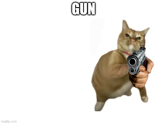 throwing cat new | GUN | image tagged in throwing cat new | made w/ Imgflip meme maker