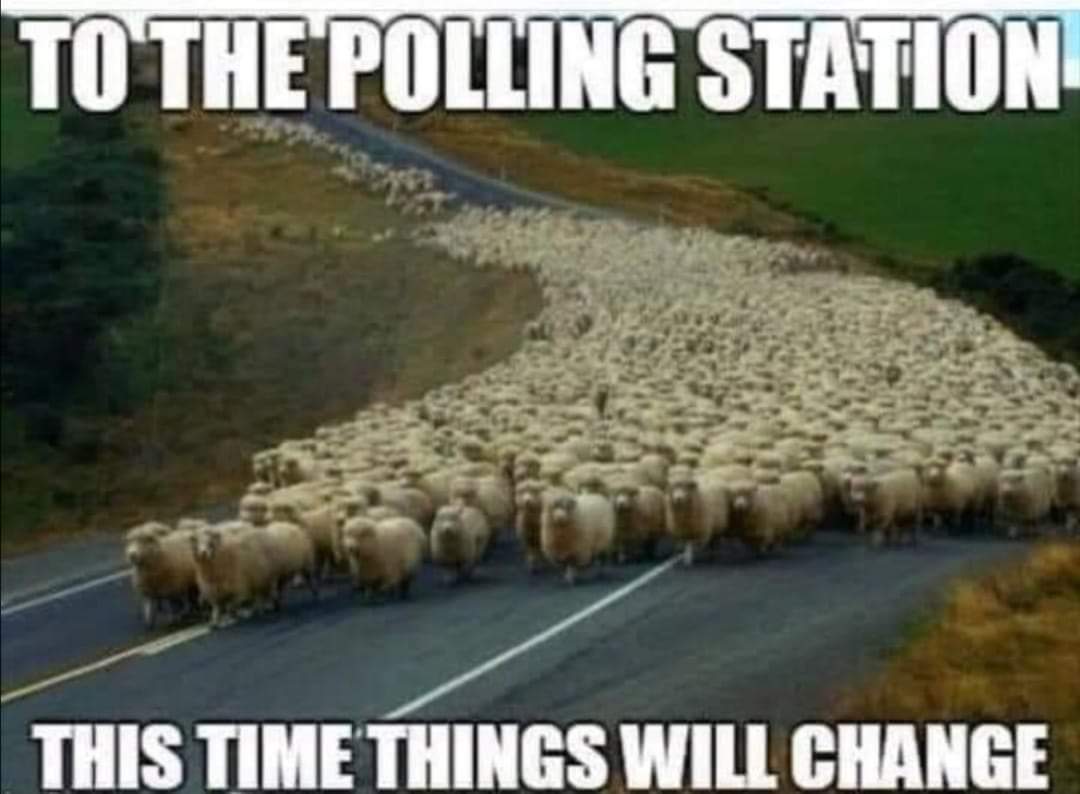 "To the polling station. This time things will change." Blank Meme Template