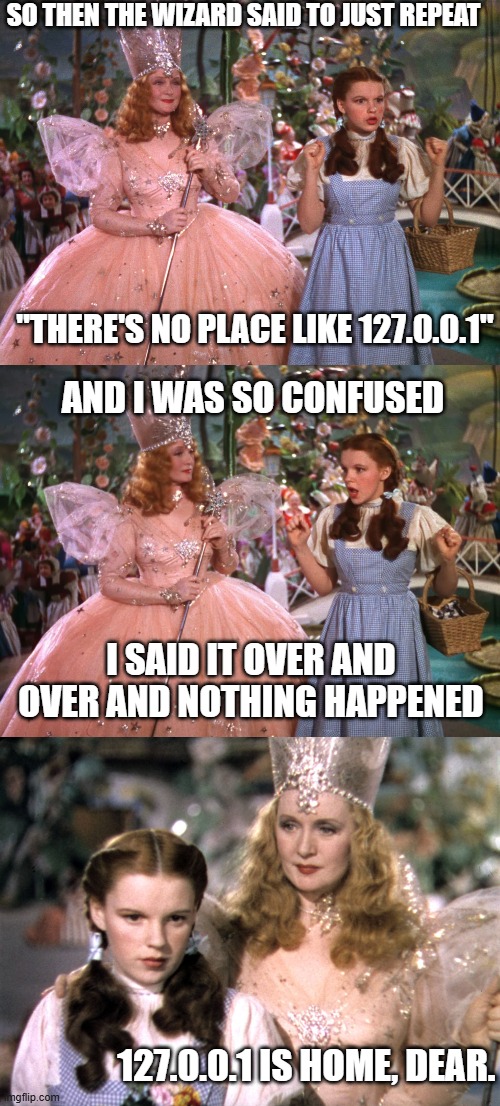No place like 127.0.0.1 | SO THEN THE WIZARD SAID TO JUST REPEAT; "THERE'S NO PLACE LIKE 127.0.0.1"; AND I WAS SO CONFUSED; I SAID IT OVER AND OVER AND NOTHING HAPPENED; 127.0.0.1 IS HOME, DEAR. | image tagged in glinda dorothy | made w/ Imgflip meme maker