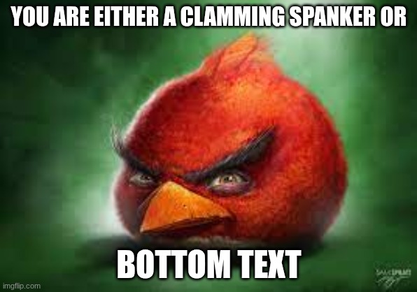 this is gonna be so SUS!!!!!1!!!!!!! | YOU ARE EITHER A CLAMMING SPANKER OR; BOTTOM TEXT | image tagged in realistic red angry birds,bro,what | made w/ Imgflip meme maker
