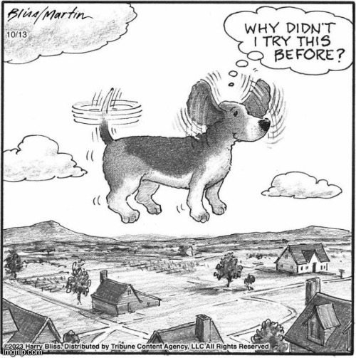 image tagged in comics,dog,harry bliss,flying,flapping ears | made w/ Imgflip meme maker