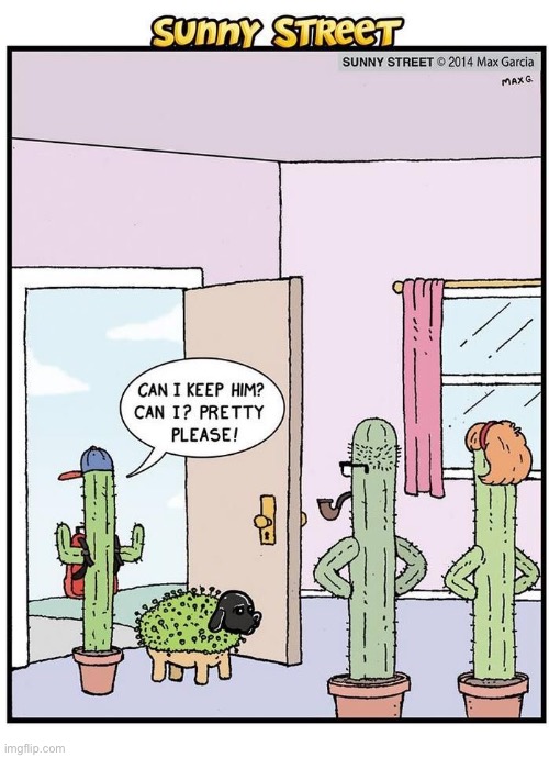 He brought home a Chia pet… | image tagged in comics,sunny street,cacti,chia pet,can i keep him | made w/ Imgflip meme maker