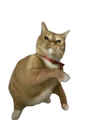 Throwing cat transparent Blank Meme Template