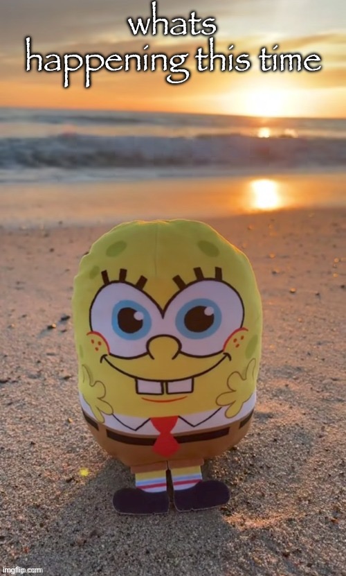 the bob (ty TMBR) | whats happening this time | image tagged in the bob ty tmbr | made w/ Imgflip meme maker