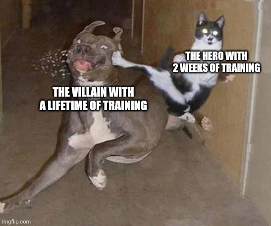 Every anime in a nutshell | THE HERO WITH 2 WEEKS OF TRAINING; THE VILLAIN WITH A LIFETIME OF TRAINING | image tagged in fish,nothing | made w/ Imgflip meme maker