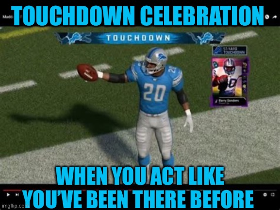 Class Act | TOUCHDOWN CELEBRATION; WHEN YOU ACT LIKE YOU’VE BEEN THERE BEFORE | image tagged in gifs,nfl,class,barry,celebration | made w/ Imgflip meme maker