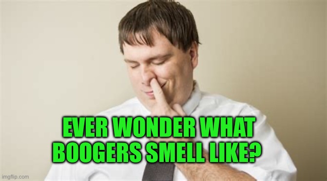 Just wondering | EVER WONDER WHAT BOOGERS SMELL LIKE? | image tagged in picky eater,boogers,funny,jokes,smells | made w/ Imgflip meme maker