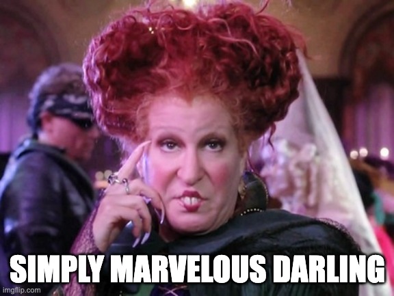 Bette Midler Hocus Pocus | SIMPLY MARVELOUS DARLING | image tagged in bette midler hocus pocus | made w/ Imgflip meme maker