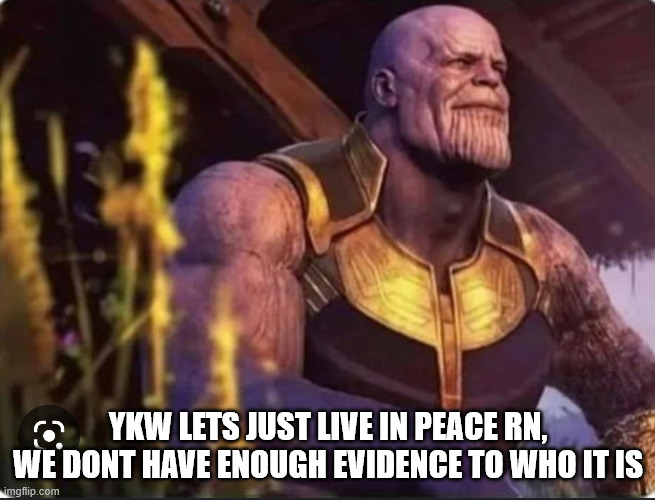 ik its sad but it has to be | YKW LETS JUST LIVE IN PEACE RN, WE DONT HAVE ENOUGH EVIDENCE TO WHO IT IS | image tagged in thanos peace | made w/ Imgflip meme maker