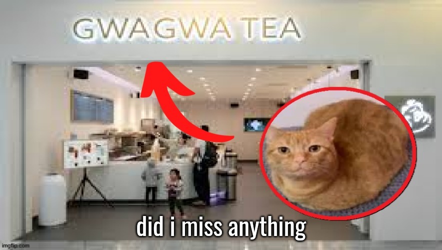 ‎ | did i miss anything | image tagged in gwa gwa tea | made w/ Imgflip meme maker