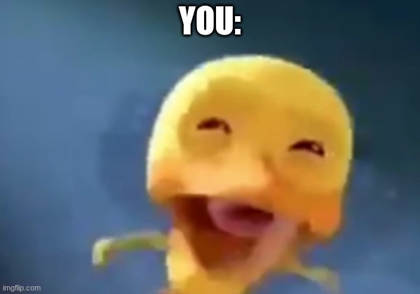 crying duck | YOU: | image tagged in crying duck | made w/ Imgflip meme maker