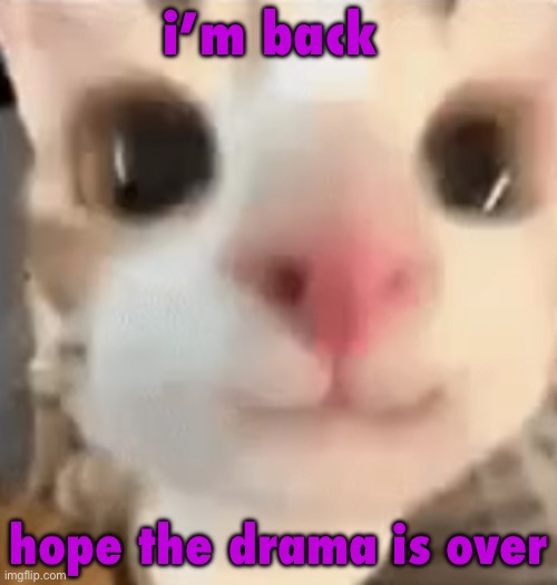 hai :3 | i’m back; hope the drama is over | image tagged in hai 3 | made w/ Imgflip meme maker